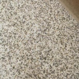 焦作 黄金麻中黄光面