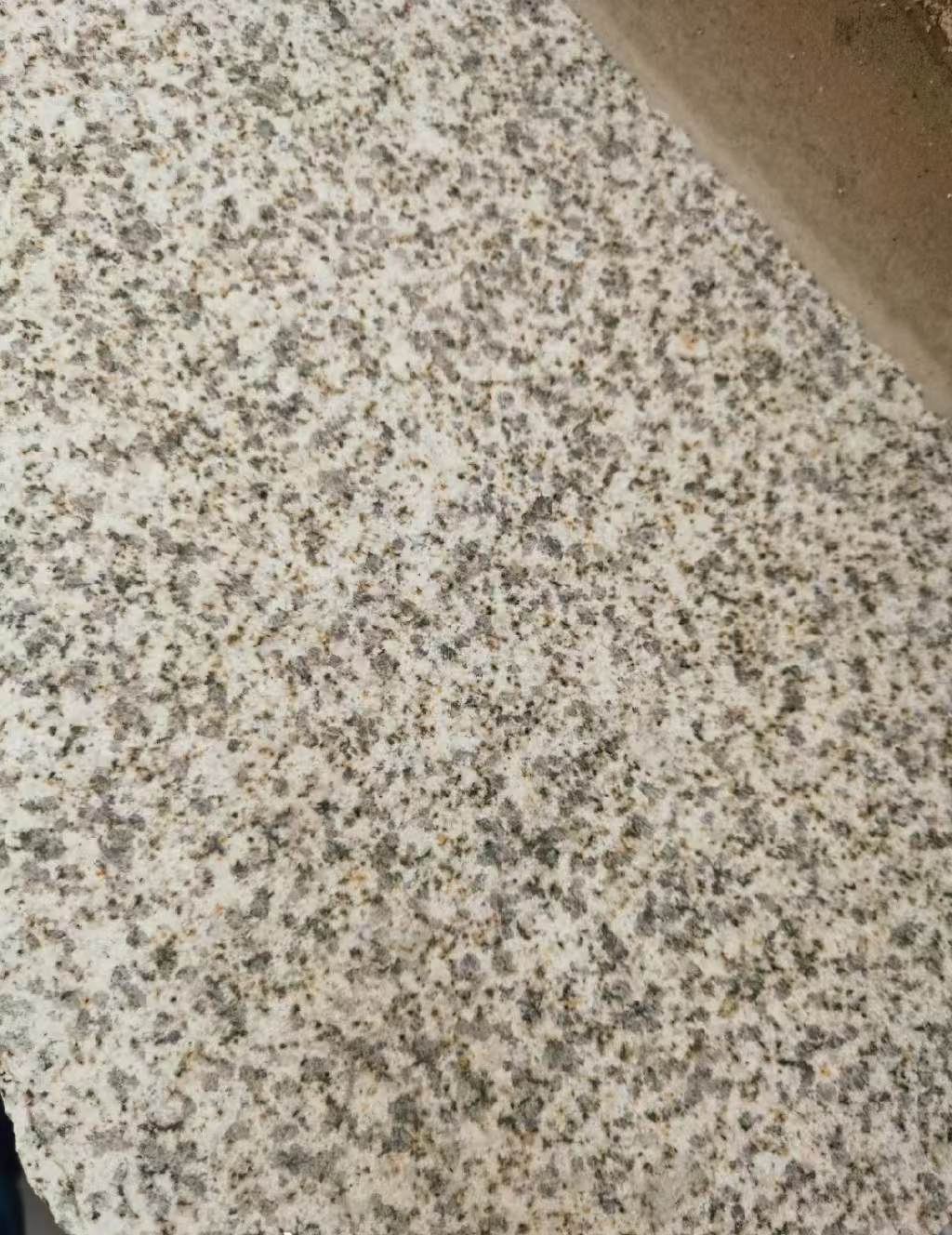 焦作 黄金麻中黄光面