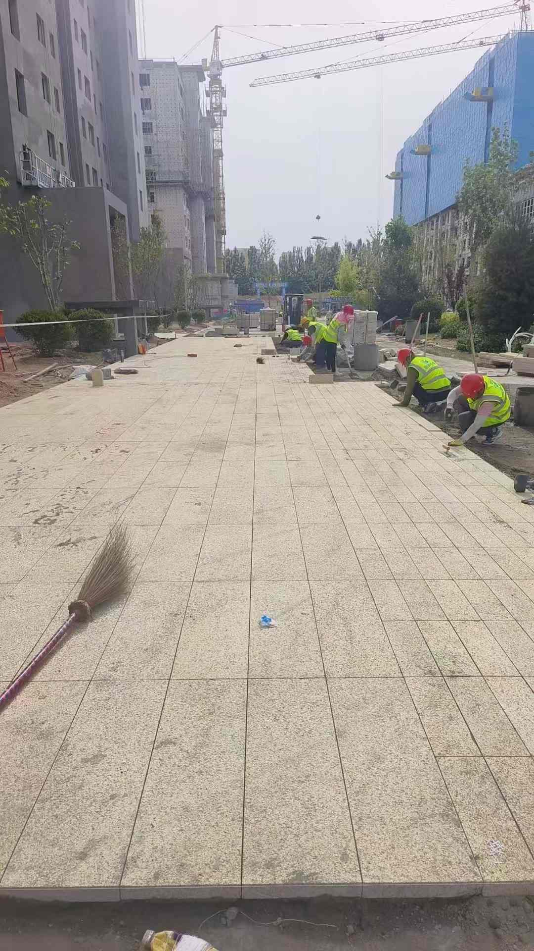焦作黄金麻荔枝面地铺案例