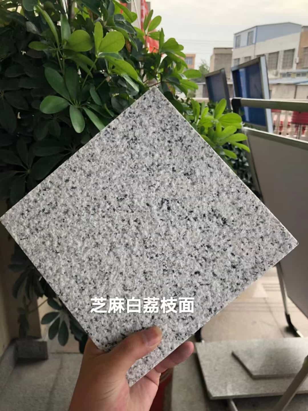 焦作 芝麻白荔枝面干挂