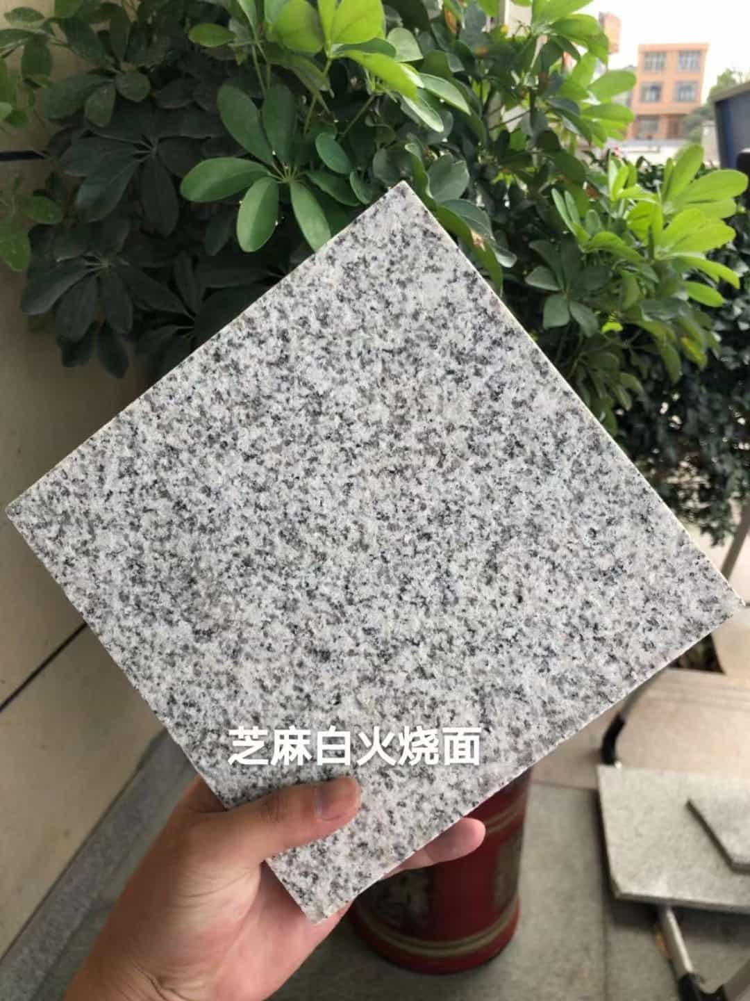 焦作芝麻白火烧面地铺