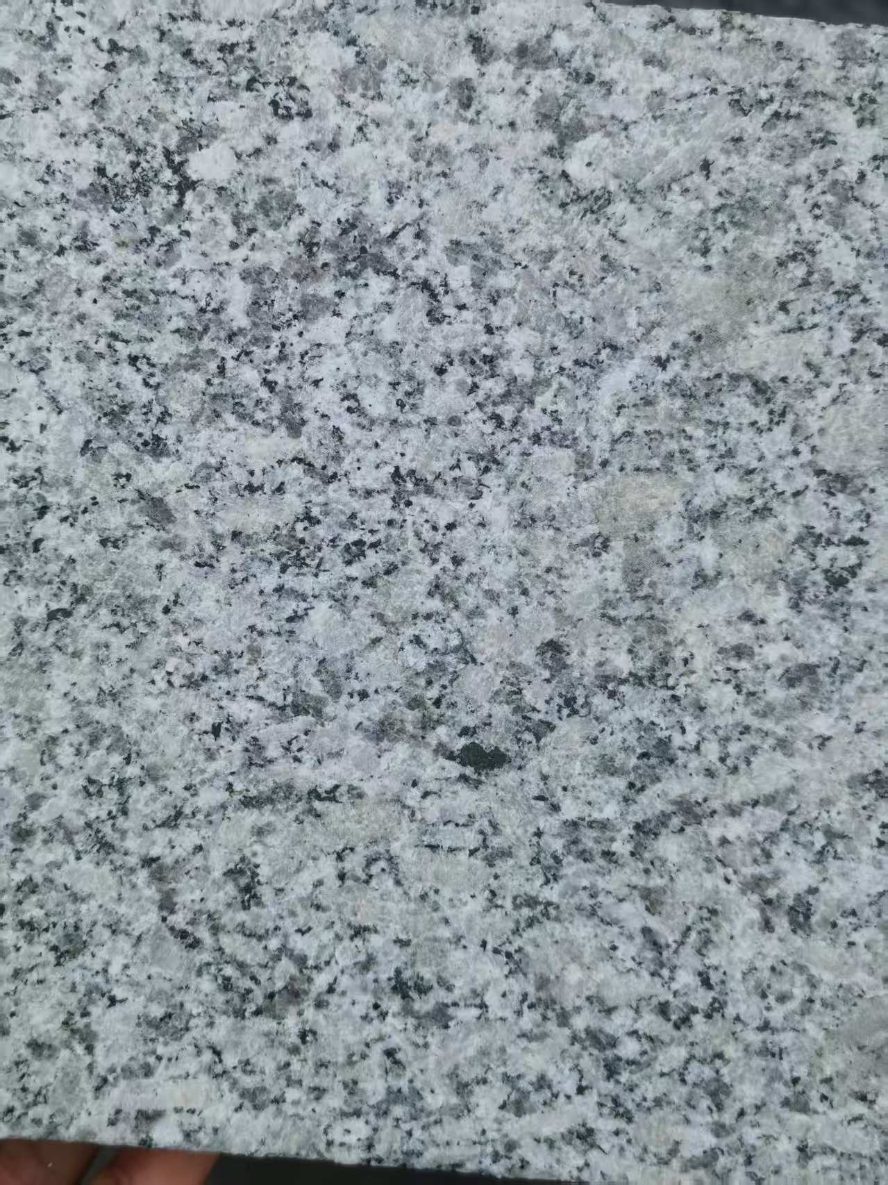 焦作 芙蓉白火烧面