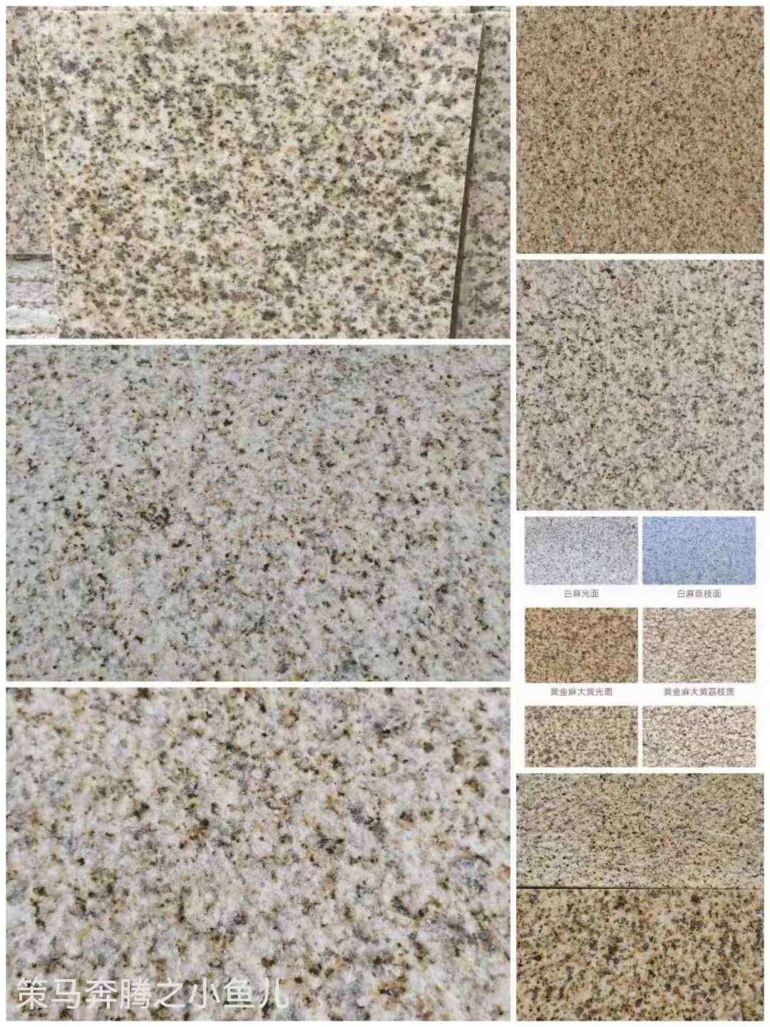 焦作黄金麻